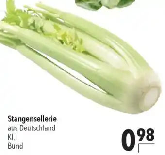CITTI Markt Stangensellerie Angebot