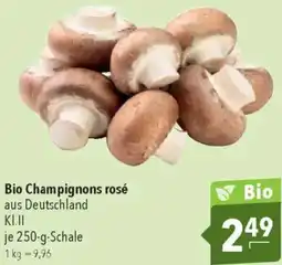 CITTI Markt Bio Champignons rosé Angebot