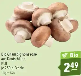CITTI Markt Bio Champignons rosé Angebot