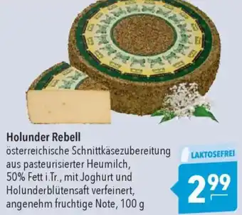 CITTI Markt Holunder Rebell Angebot