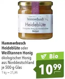 CITTI Markt Hammerbusch Heideblüte oder Weißtannen Honig Angebot