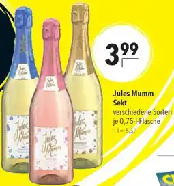 CITTI Markt Jules Mumm Sekt Angebot