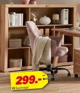 Höffner Spielregal Angebot