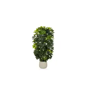 Netto Marken-Discount hjh OFFICE Kunstpflanze Schefflera 2 Kunststoff, Eisen Angebot