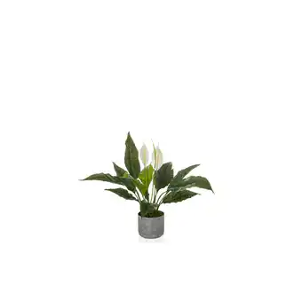 Netto Marken-Discount hjh OFFICE Kunstpflanze Spathiphyllum 1 Kunststoff Angebot