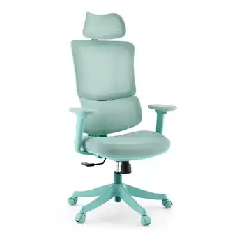 Netto Marken-Discount MyBuero Home Office Bürostuhl Ergomy Colore Stoff / Netzstoff mit Armlehnen (höhenverstellbar) Angebot