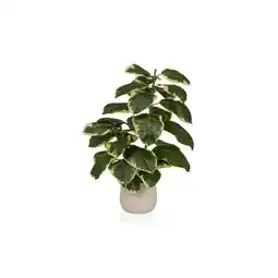 Netto Marken-Discount hjh OFFICE Kunstpflanze Ficus 3 Kunststoff, Eisen Angebot