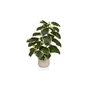 Netto Marken-Discount hjh OFFICE Kunstpflanze Ficus 3 Kunststoff, Eisen Angebot