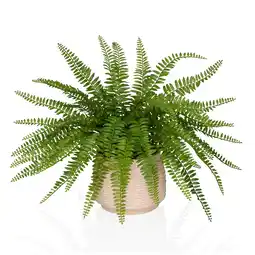 Netto Marken-Discount hjh OFFICE Kunstpflanze Proliferum Kunststoff Angebot