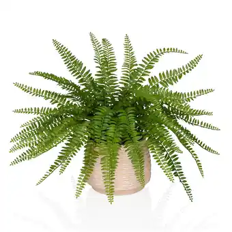 Netto Marken-Discount hjh OFFICE Kunstpflanze Proliferum Kunststoff Angebot