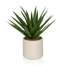Netto Marken-Discount hjh OFFICE Kunstpflanze Agave Kunststoff, Stoff Angebot