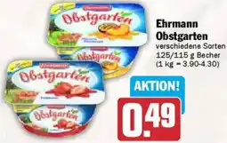 AEZ Ehrmann Obstgarten Angebot