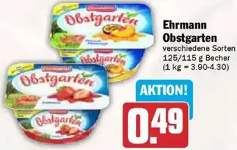 AEZ Ehrmann Obstgarten Angebot