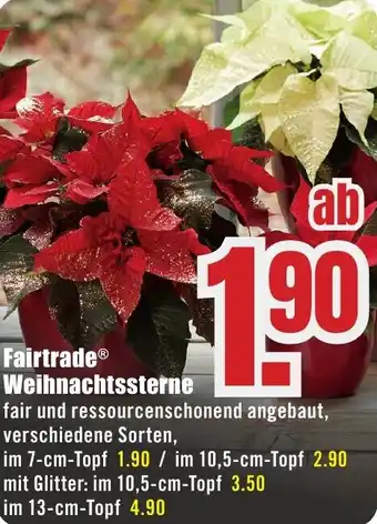 B1 Discount Baumarkt Fairtrade Weihnachtssterne Angebot