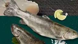 Kaufland Regenbogenforellen Angebot