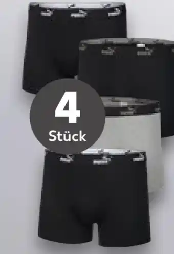 Kaufland Puma Retro-boxer 4 Stück Angebot