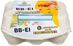 Kaufland Landkost-Ei Eier Angebot