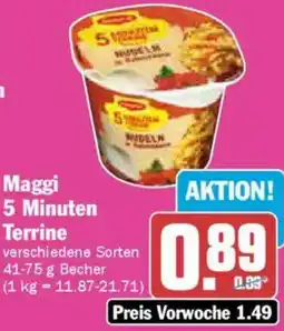 AEZ Maggi 5 Minuten Terrine Angebot