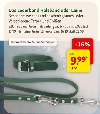 Fressnapf Halsband Angebot