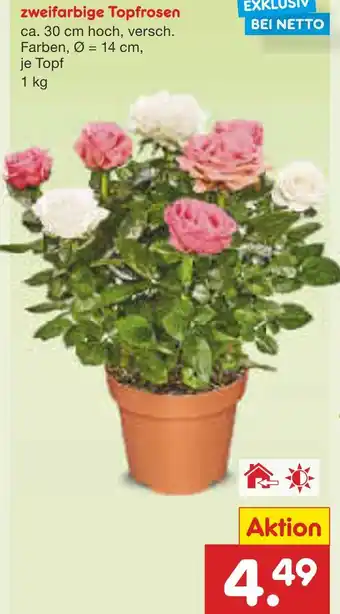 Netto Marken-Discount Zweifarbige topfrosen Angebot