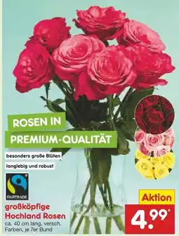 Netto Marken-Discount Großköpfige hochland rosen Angebot