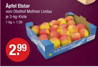 V Markt Obsthof meßmer lindau äpfel elstar Angebot