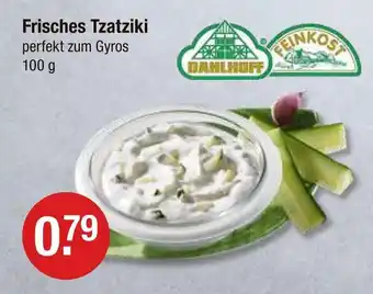 V Markt Dahlhoff feinkost frisches tzatziki Angebot