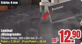 B1 Discount Baumarkt Laminat Visiogrande Angebot