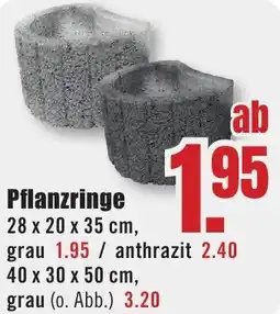 B1 Discount Baumarkt Pflanzringe Angebot
