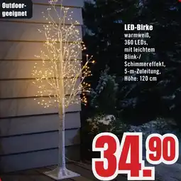 B1 Discount Baumarkt LED-Birke Angebot
