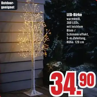 B1 Discount Baumarkt LED-Birke Angebot