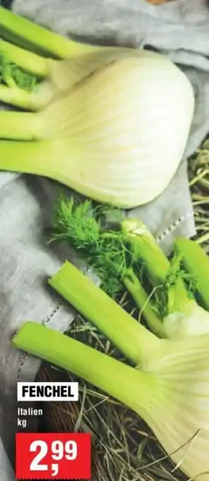 Handelshof Fenchel Angebot