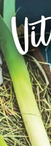 Handelshof Porree Angebot