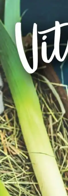 Handelshof Porree Angebot