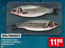 Handelshof Wolfsbarsch Angebot