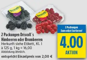 diska Driscoll's Himbeeren oder Brombeeren Angebot