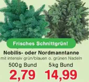 Jawoll Nobilis- oder Nordmanntanne Angebot