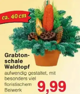 Jawoll Grabtonschale Waldtopf Angebot