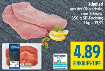 diska Schnitzel Angebot