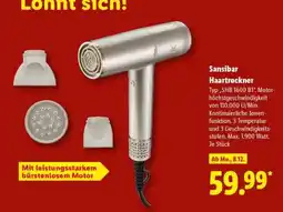 Lidl Sansibar Haartrockner Angebot
