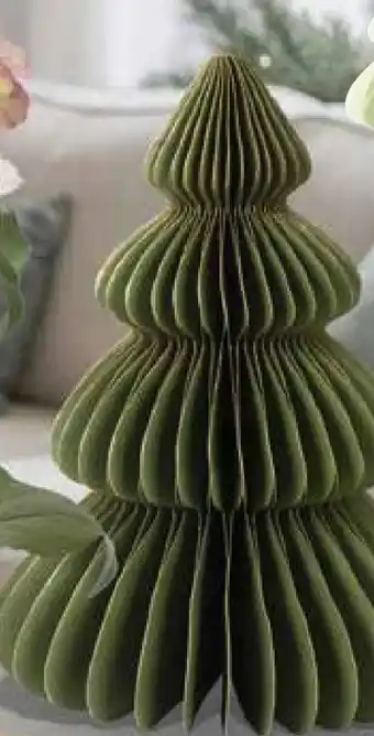 Pflanzen Kölle Tannenbaum Angebot