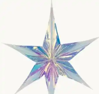 Pflanzen Kölle Stern zum Hängen Angebot