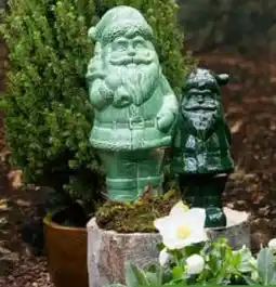 Pflanzen Kölle Weihnachtsmann Angebot