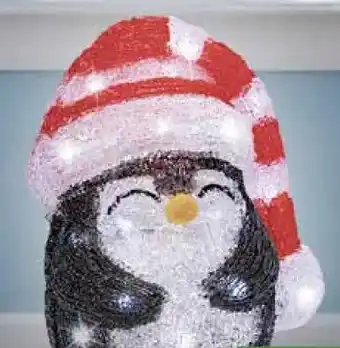 Pflanzen Kölle LED-Figure Angebot