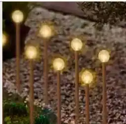 Pflanzen Kölle LED Solar Stabbeleuchtung Angebot