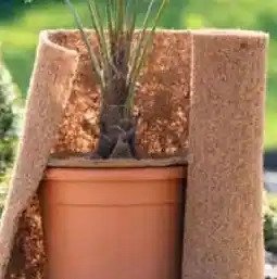 Pflanzen Kölle Kölle Kokosfaser Abdeckmatte Angebot