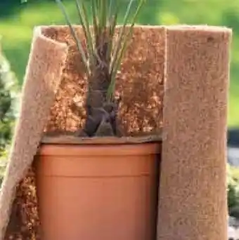 Pflanzen Kölle Kölle Kokosfaser Abdeckmatte Angebot