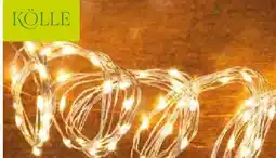 Pflanzen Kölle Kölle LED Regen Silberdraht Angebot