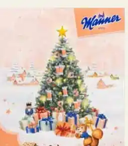 Pflanzen Kölle Manner Adventskalender Angebot