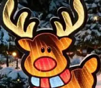 Pflanzen Kölle LED-Stecker Angebot